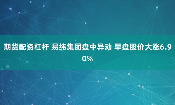期货配资杠杆 易纬集团盘中异动 早盘股价大涨6.90%