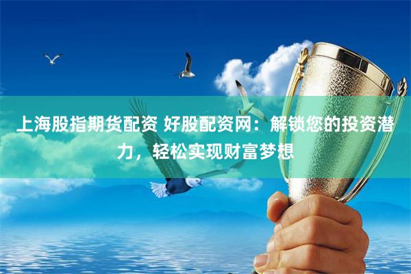 上海股指期货配资 好股配资网：解锁您的投资潜力，轻松实现财富梦想